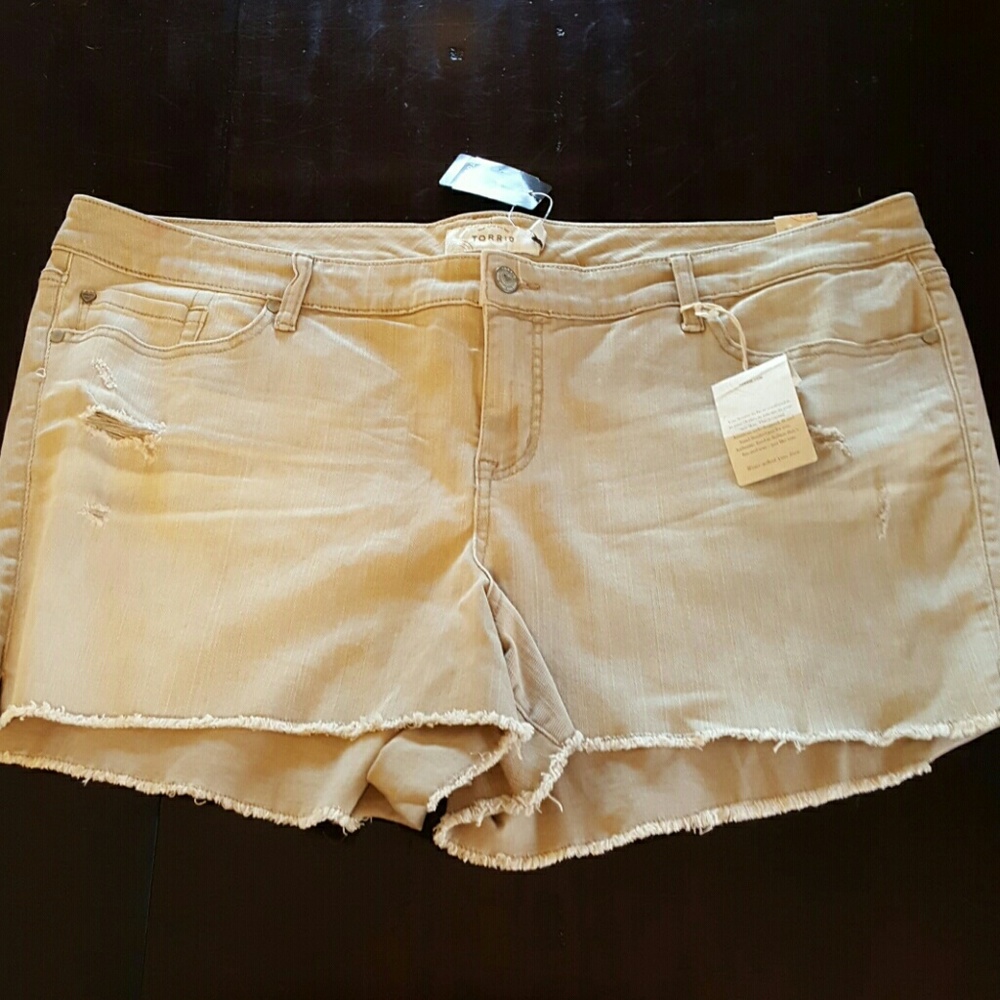 New torrid shorts